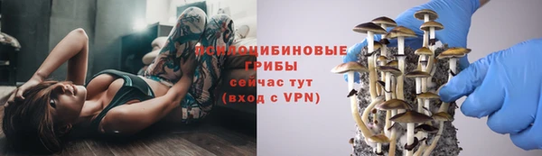 a pvp Зеленодольск