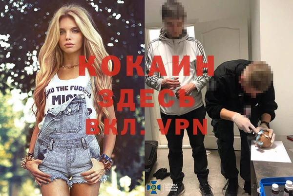 ПСИЛОЦИБИНОВЫЕ ГРИБЫ Зеленокумск