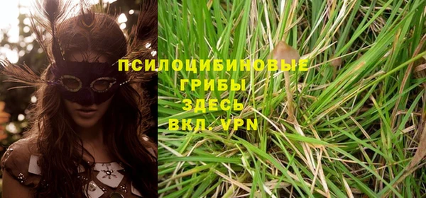 ПСИЛОЦИБИНОВЫЕ ГРИБЫ Зеленокумск